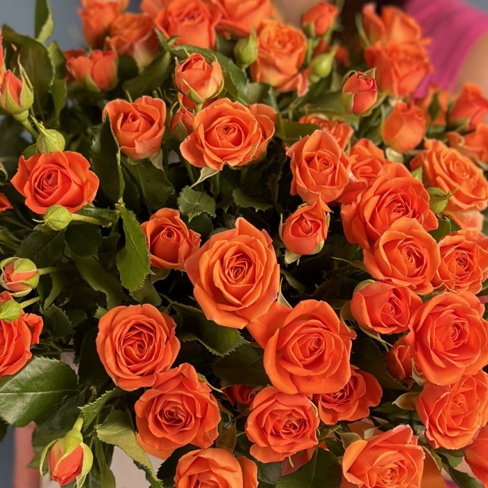 11 кустовых оранжевых роз Чарминг Бейб в коробке
