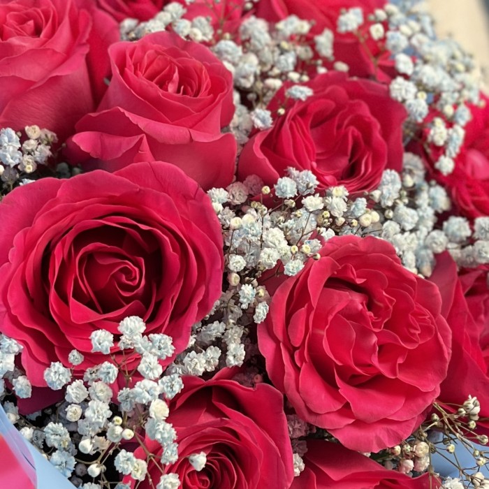 11 малиновых роз Пинк Флойд 60 см с голубой гипсофилой