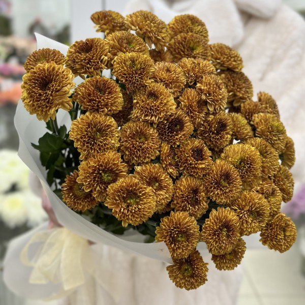 11 оранжевых кустовых хризантем Дориа Оранж