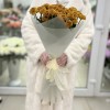 11 оранжевых кустовых хризантем Дориа Оранж