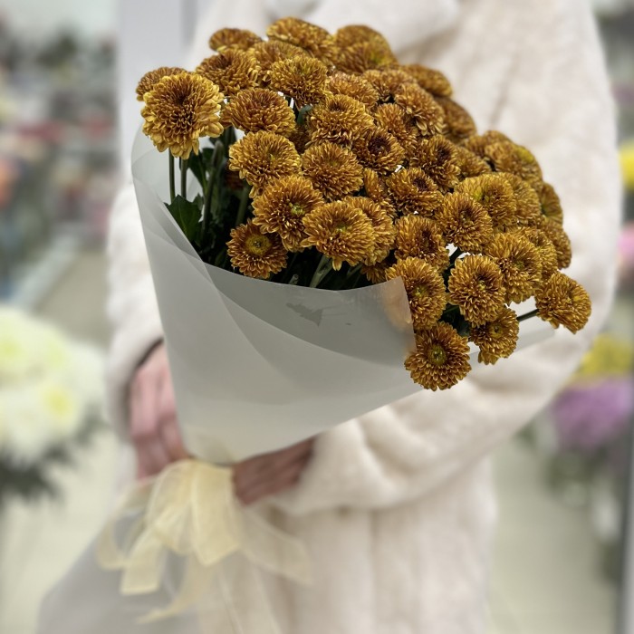 11 оранжевых кустовых хризантем Дориа Оранж