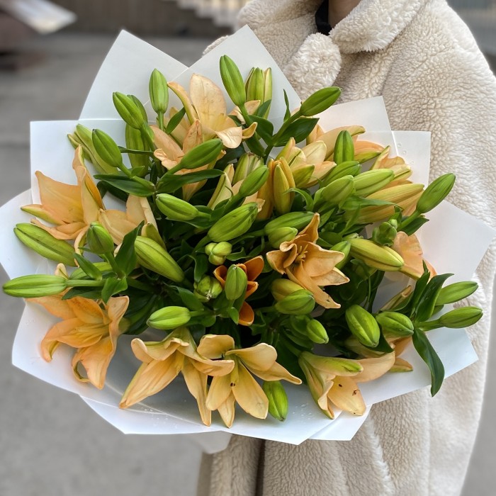 11 оранжевых лилий Азиатка