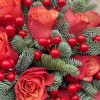 11 роз Боргат с нобилисом
