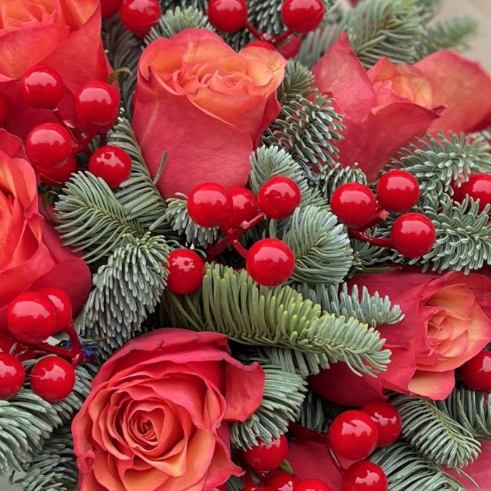 11 роз Боргат с нобилисом