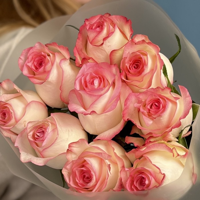 11 роз Джумилия 60 см