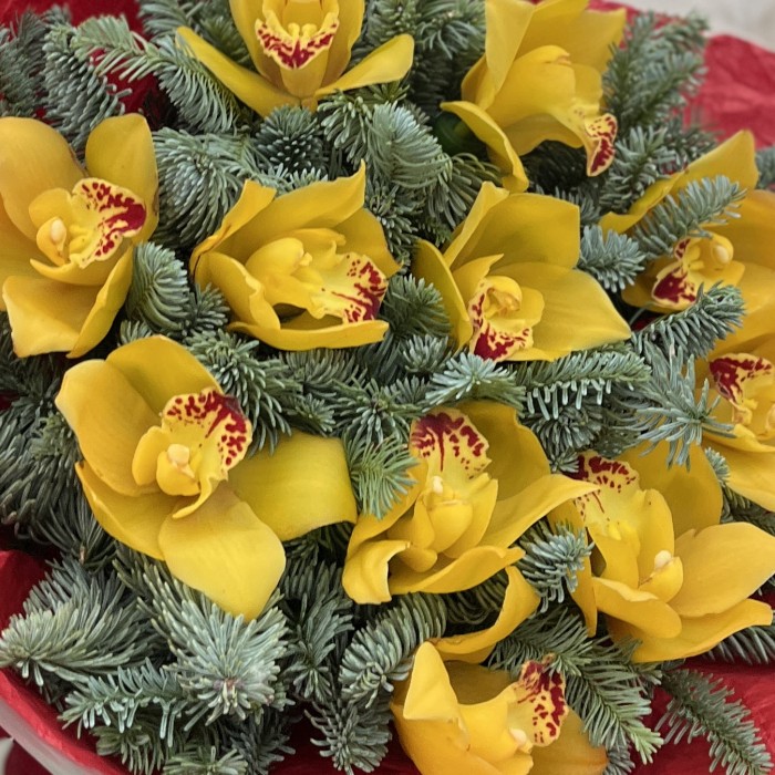 11 желтых орхидей с нобилисом