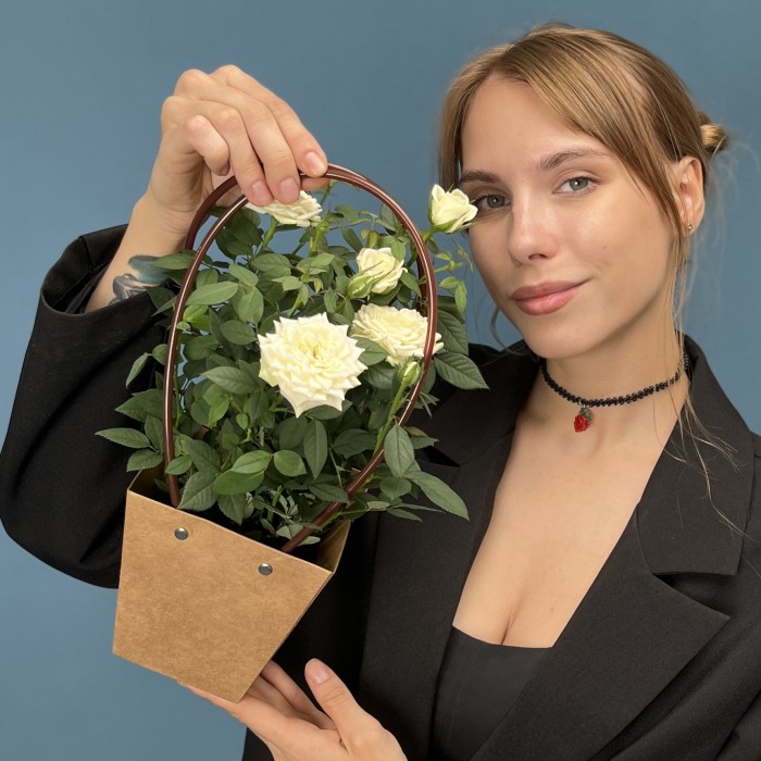 Роза Кордана белая в подарочной сумочке