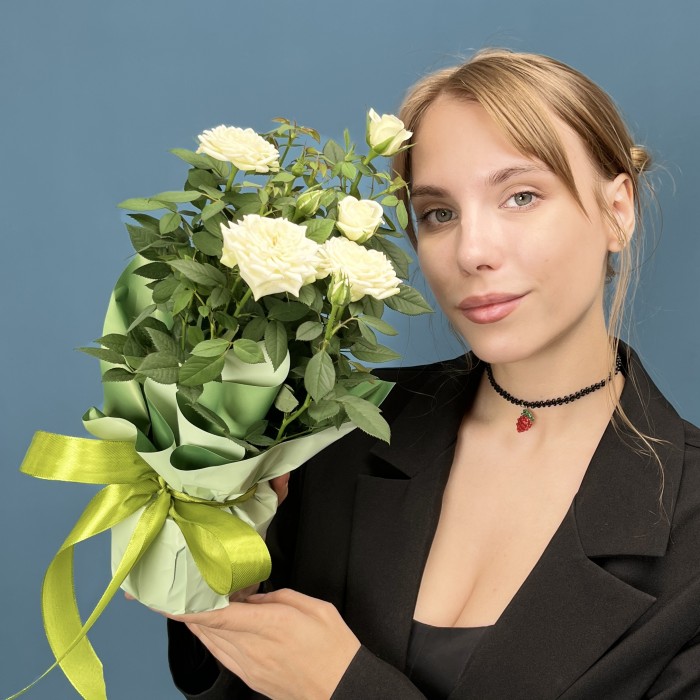 Роза Кордана белая в подарочной упаковке