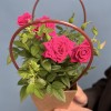 Роза Кордана малиновая в подарочной сумочке