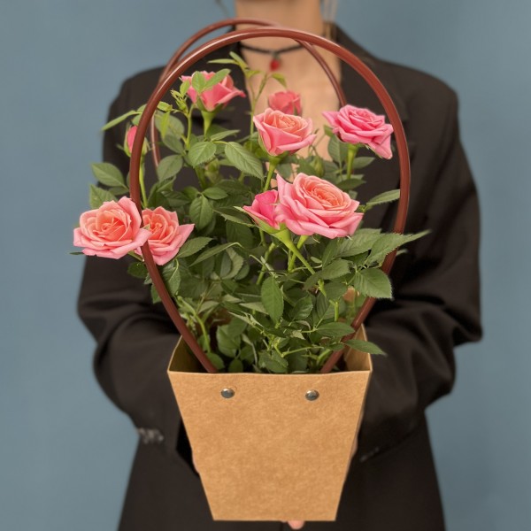 Роза Кордана розовая в подарочной сумочке