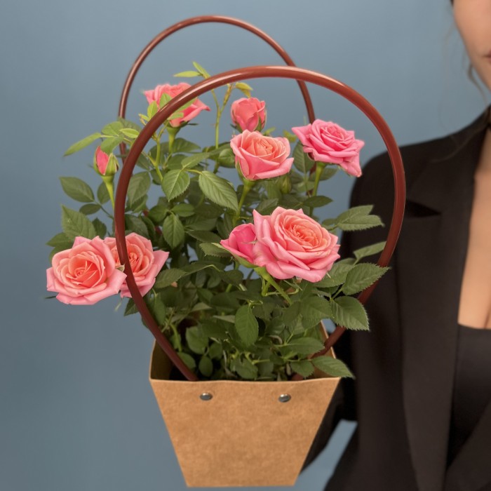 Роза Кордана розовая в подарочной сумочке