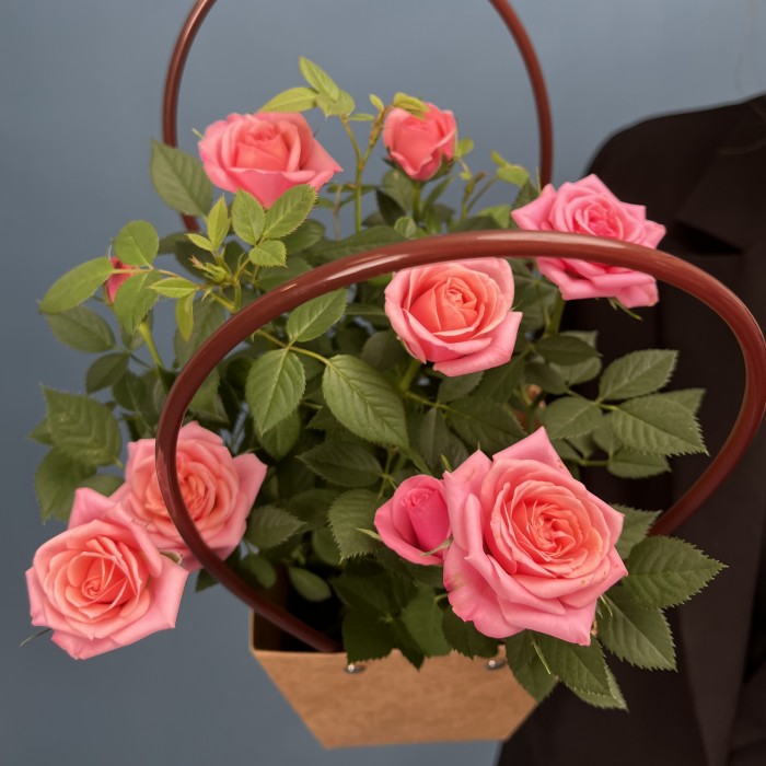 Роза Кордана розовая в подарочной сумочке