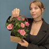 Роза Кордана розовая в подарочной сумочке