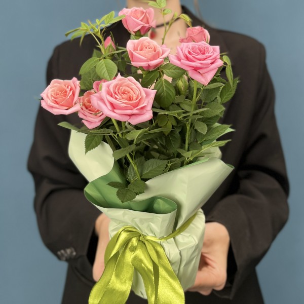 Роза Кордана розовая в подарочной упаковке