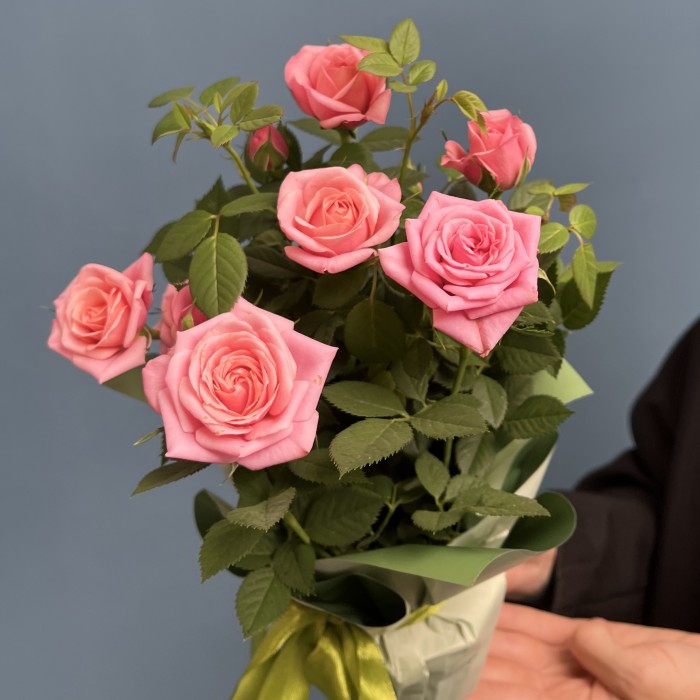 Роза Кордана розовая в подарочной упаковке