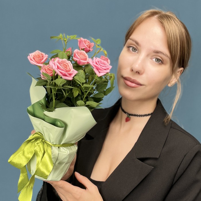 Роза Кордана розовая в подарочной упаковке