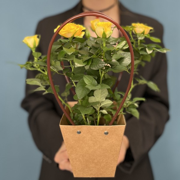 Роза Кордана желтая в подарочной сумочке