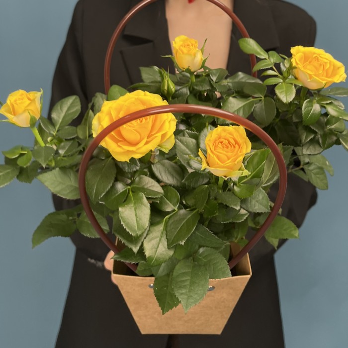 Роза Кордана желтая в подарочной сумочке