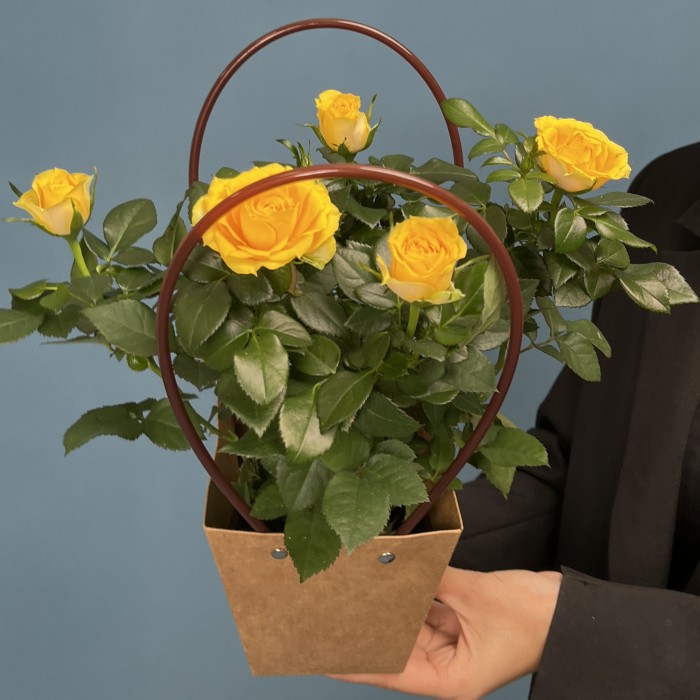 Роза Кордана желтая в подарочной сумочке