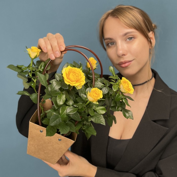 Роза Кордана желтая в подарочной сумочке