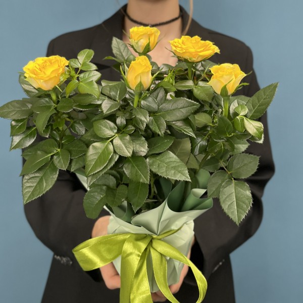 Роза Кордана жёлтая в подарочной упаковке