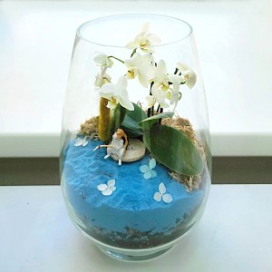 Флорариум  Кот рыболов