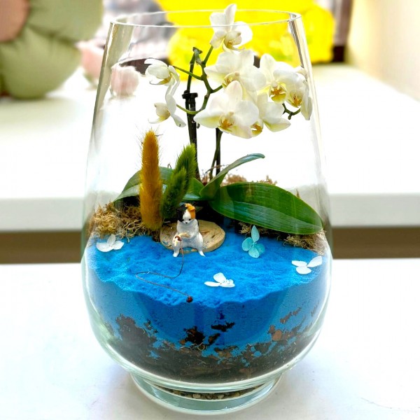 Флорариум  Кот Рыболов