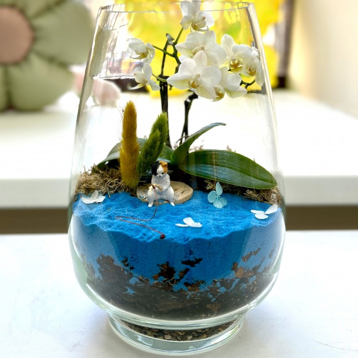 Флорариум  Кот Рыболов