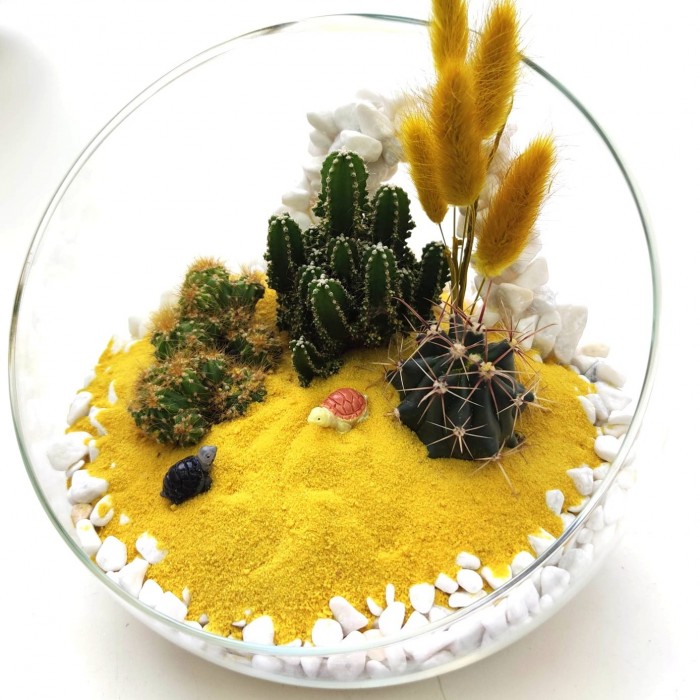 Флорариум Солнце