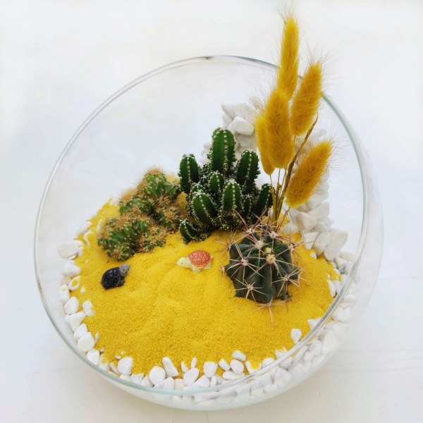 Флорариум Солнце