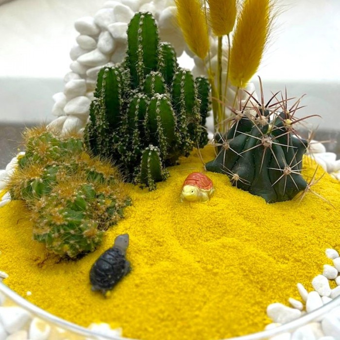 Флорариум Солнце