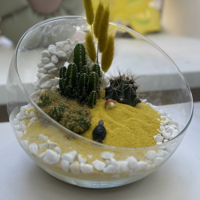 Флорариум Солнце