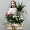 Композиция в деревянном ящике Дыхание природы