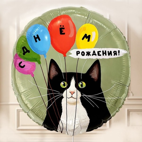 Шар круг С Днем рождения (Кот и шары)