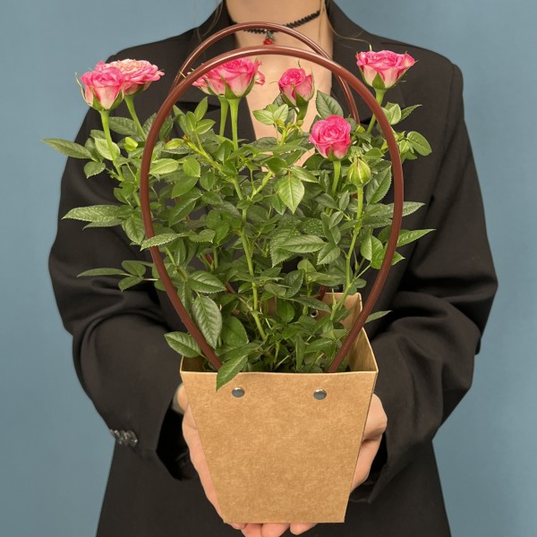 Роза Кордана розовая с малиновым  в подарочной сумочке