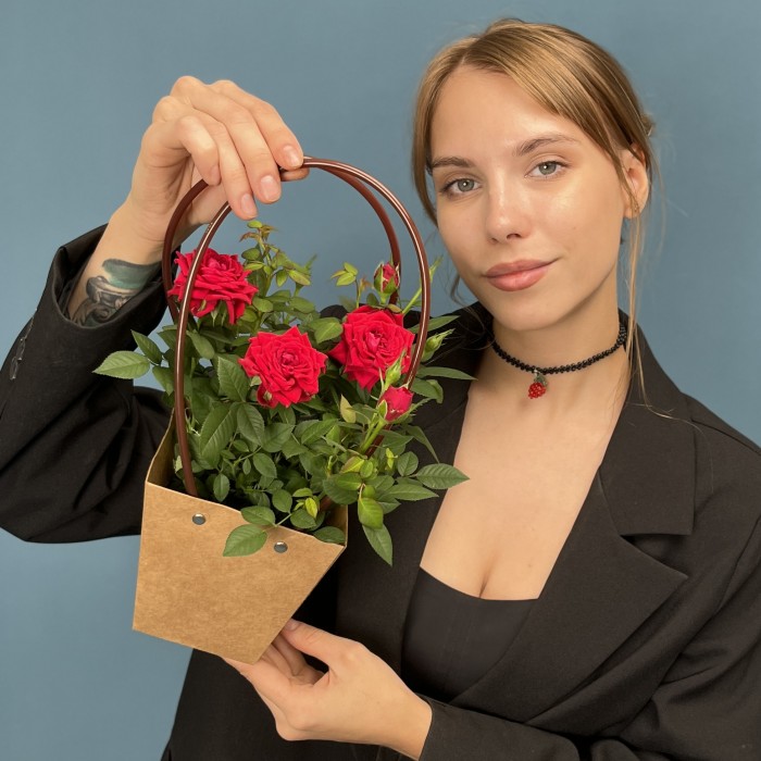 Роза Кордана красная в подарочной сумочке