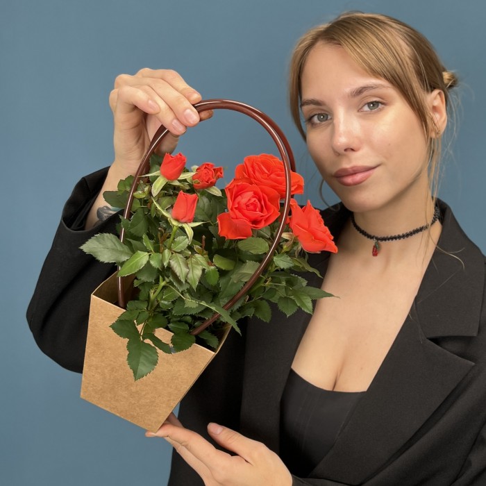 Роза Кордана оранжевая в подарочной сумочке