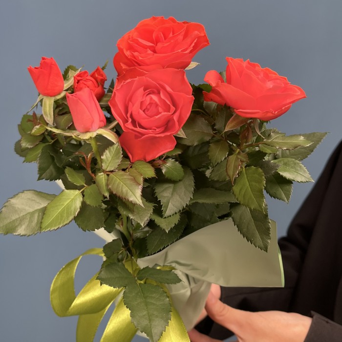 Роза Кордана оранжевая в подарочной упаковке