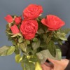 Роза Кордана оранжевая в подарочной упаковке