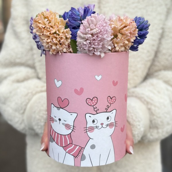 11 ароматных гиацинтов в коробке с котиком