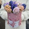 11 ароматных гиацинтов в коробке с котиком