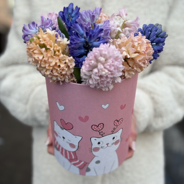 11 ароматных гиацинтов в коробке с котиком