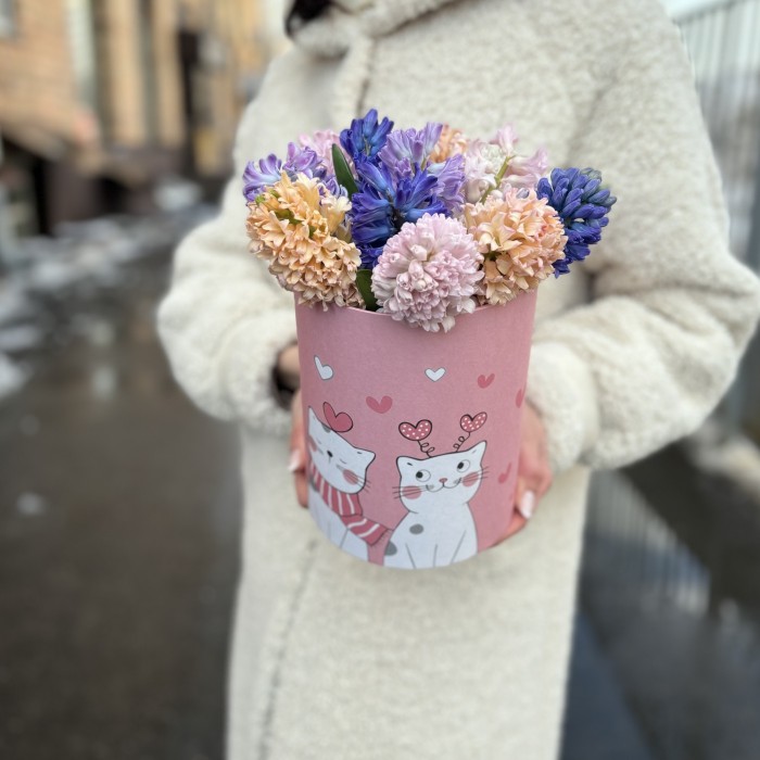 11 ароматных гиацинтов в коробке с котиком