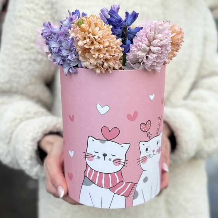 11 ароматных гиацинтов в коробке с котиком