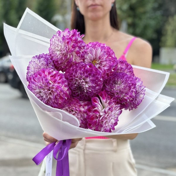 11 бело-фиолетовых георгин