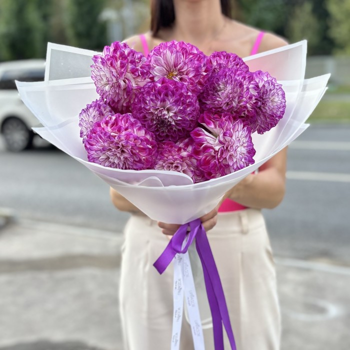 11 бело-фиолетовых георгин