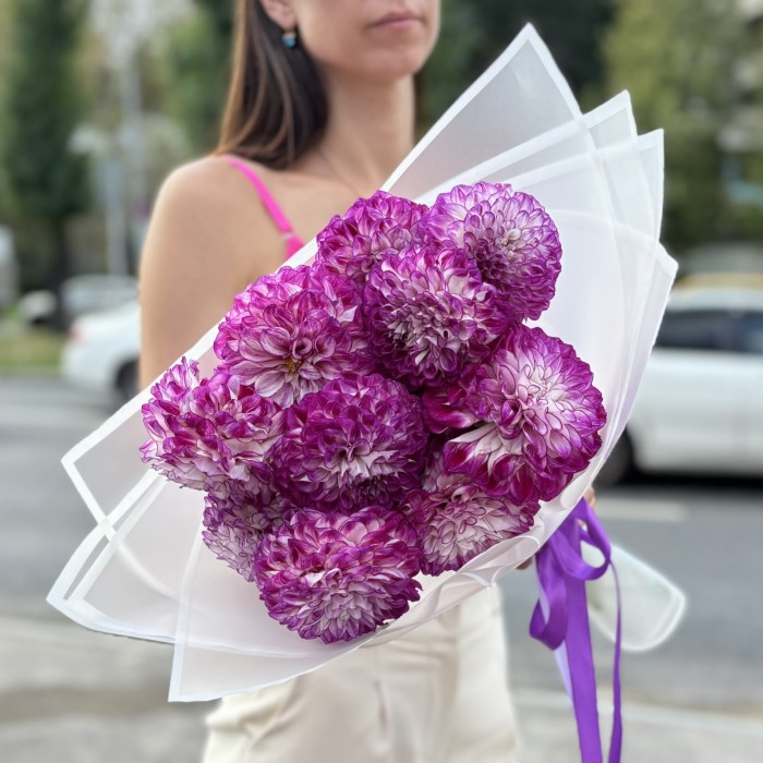 11 бело-фиолетовых георгин