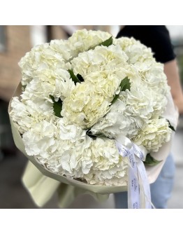 11 белых гортензий