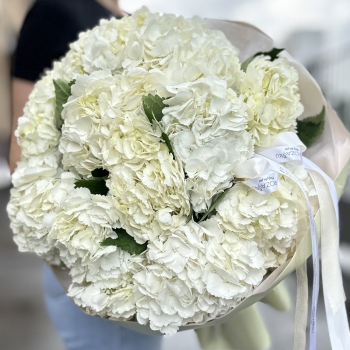 11 белых гортензий