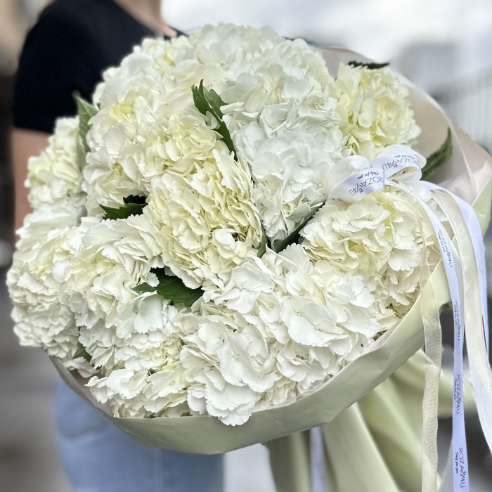 11 белых гортензий